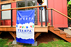 DAYLIGHT, DARK NIGHT AND BLUE SKIES WITH PAPA BUENO